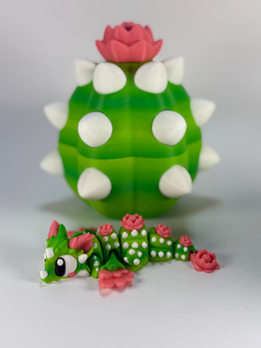 Cactus Mystery Ei met Cactus DesertRose Draak