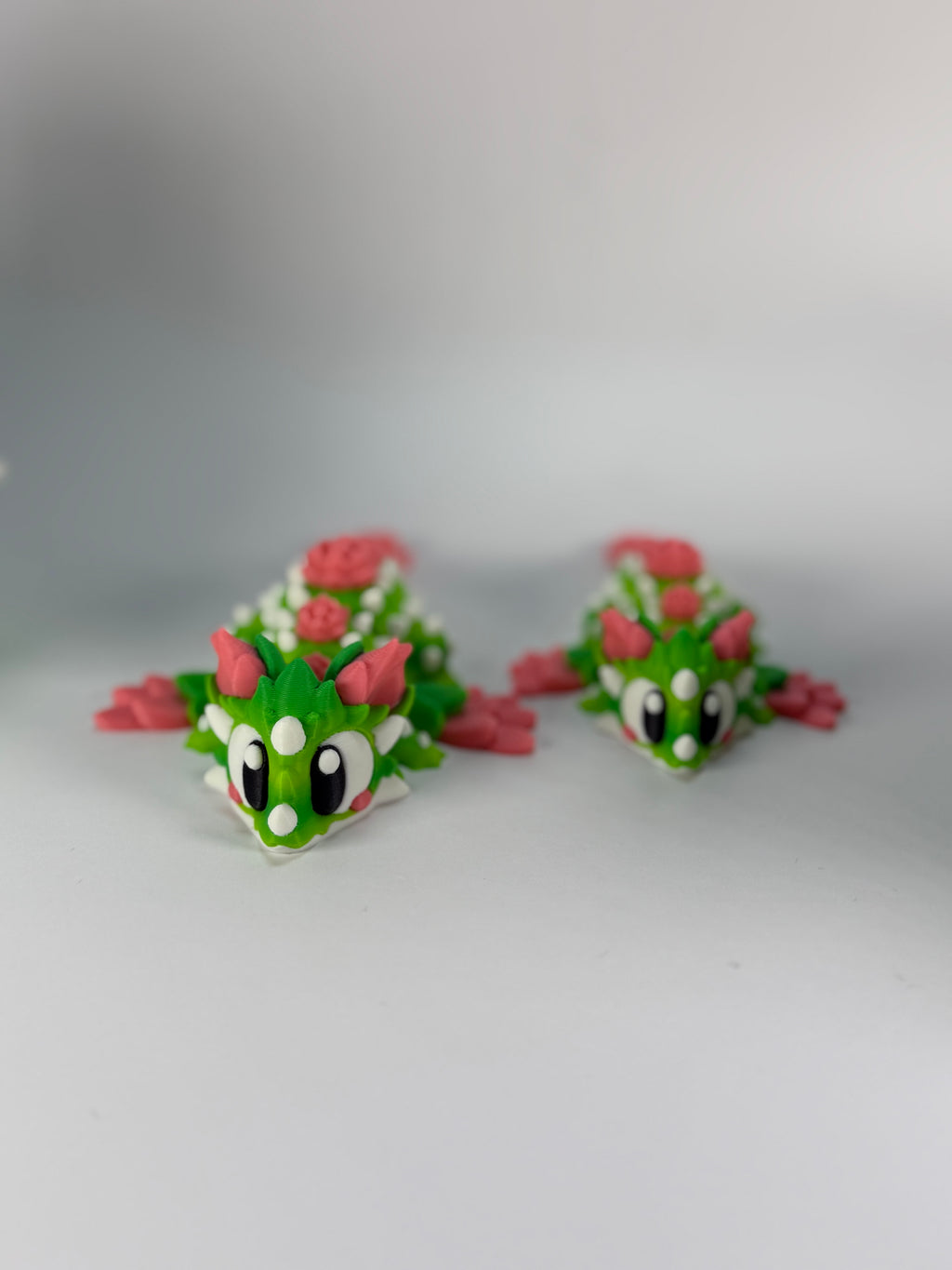 Cactus Desert-Rose draak Midi