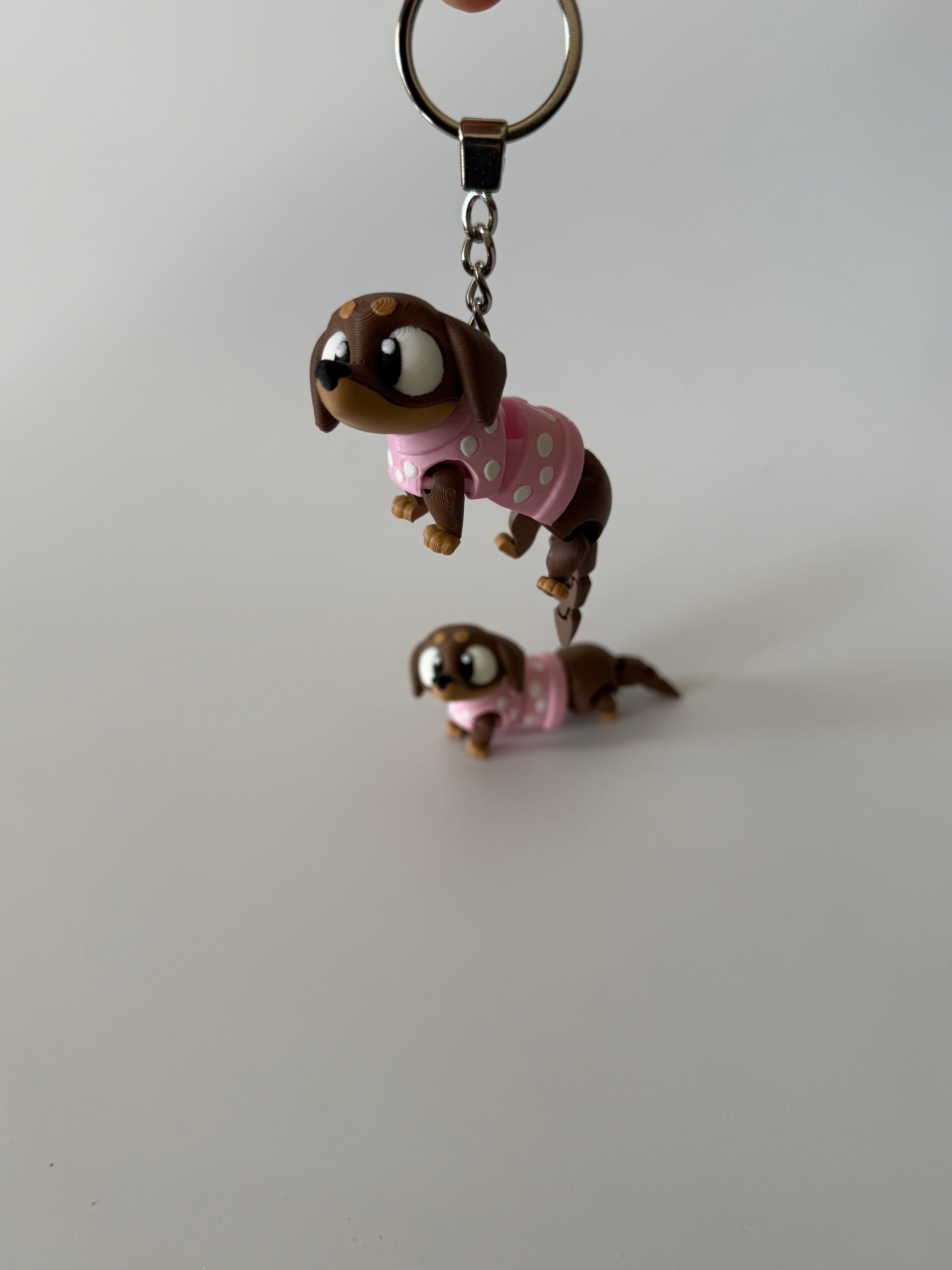 Flexi Teckel sleutelhanger