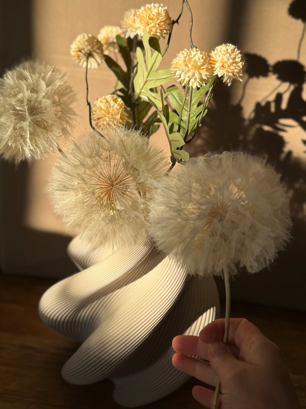 Dried Dandelion – Gedroogde Reuzenblaasbloem op Steel