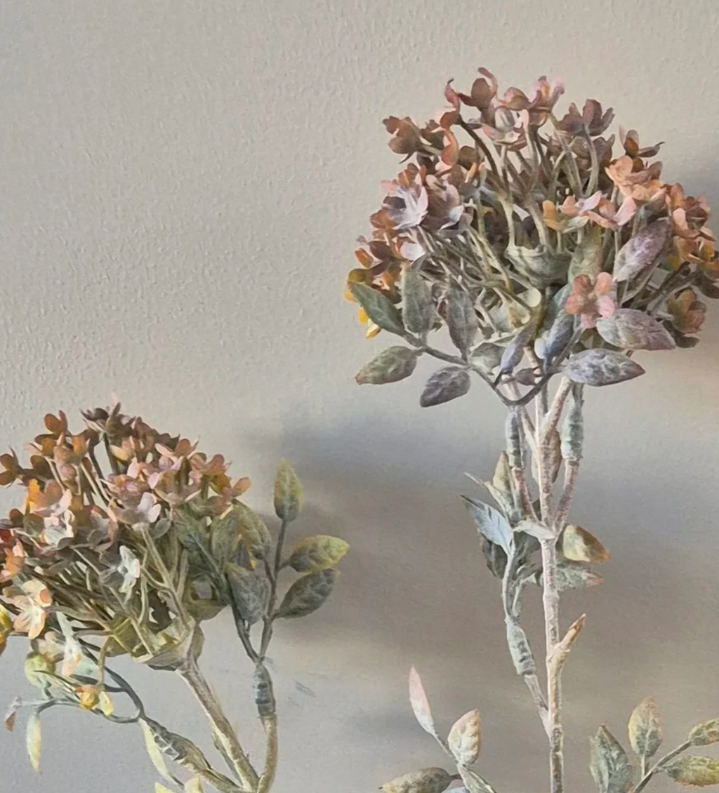 Bouvardia stem grey - 70 cm