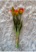 Oranje Tulpen bos parkiet 5 tulpen