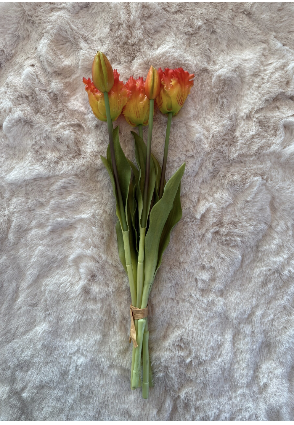 Oranje Tulpen bos parkiet 5 tulpen