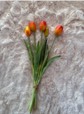 Tulpen Oranje bos 5 tulpen