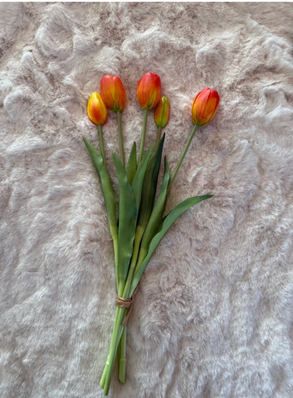Tulpen Oranje bos 5 tulpen