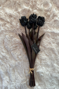 Tulipa parkiet zwart 5 tulpen