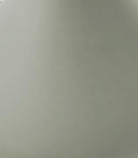 Vaas Fortune