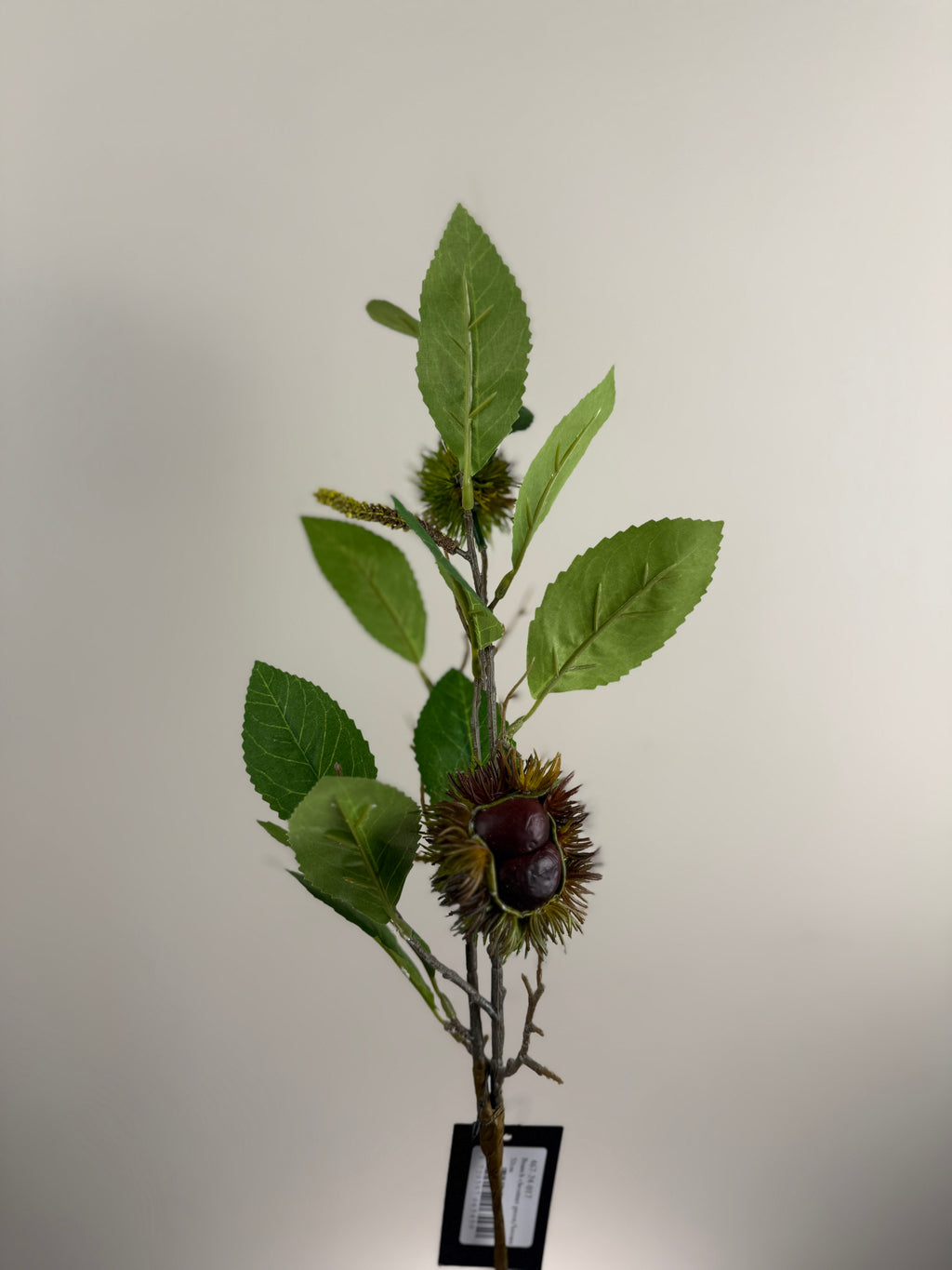 Kunsttak Kastanje Green/Brown – Branch Chestnut – ±50 cm – Zeer Realistisch
